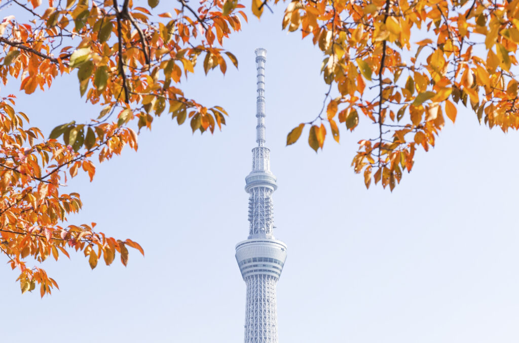 Tokyo skytree - Tour Giappone Sakura Road Japan