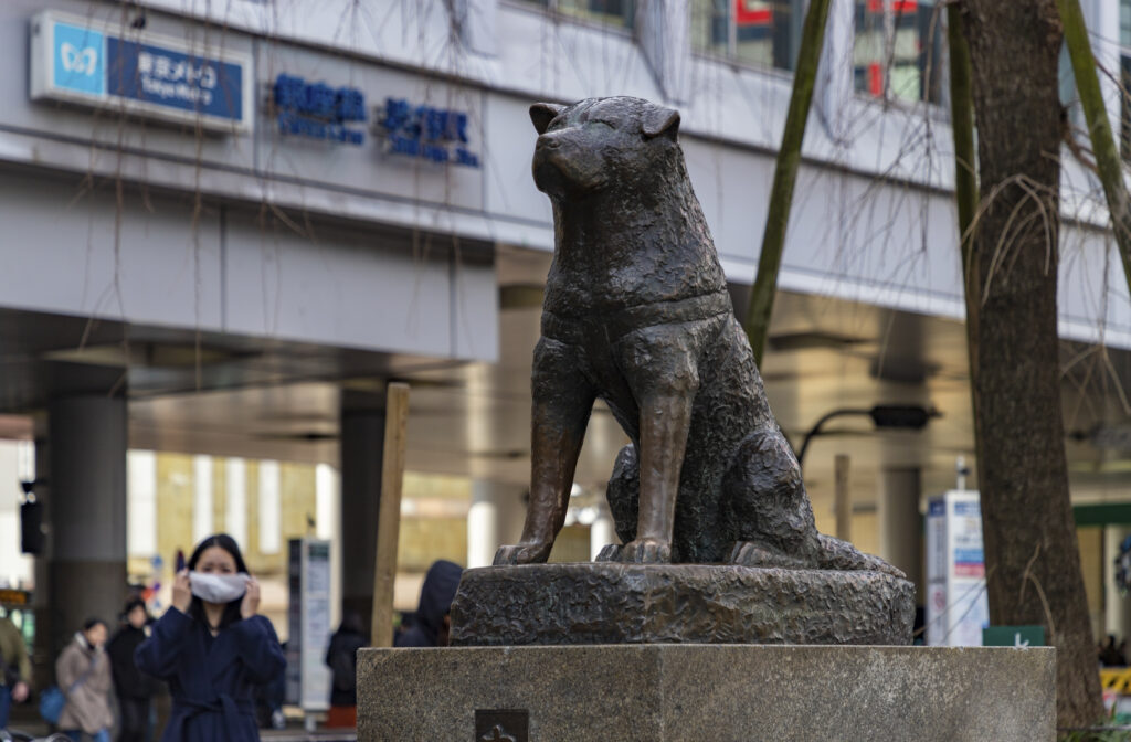 tokyo shibuya hachiko - Tour Giappone Sakura Road Japan