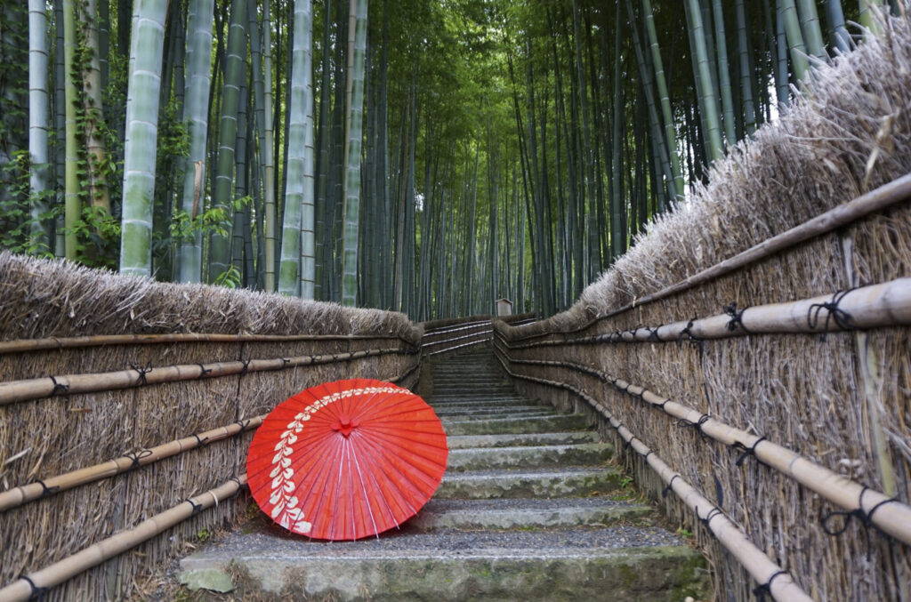 Arashiyama kagasa foresta bambu - Tour Giappone Sakura Road Japan