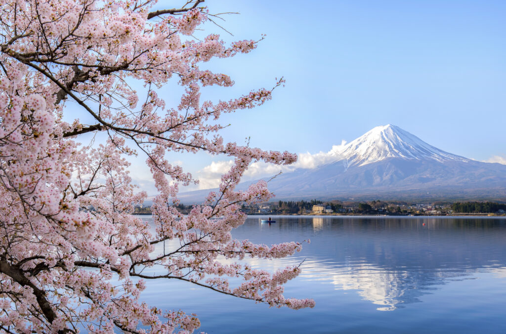 Monte fuji sakura fioritura Monte Fuji - Tour Giappone Sakura Road